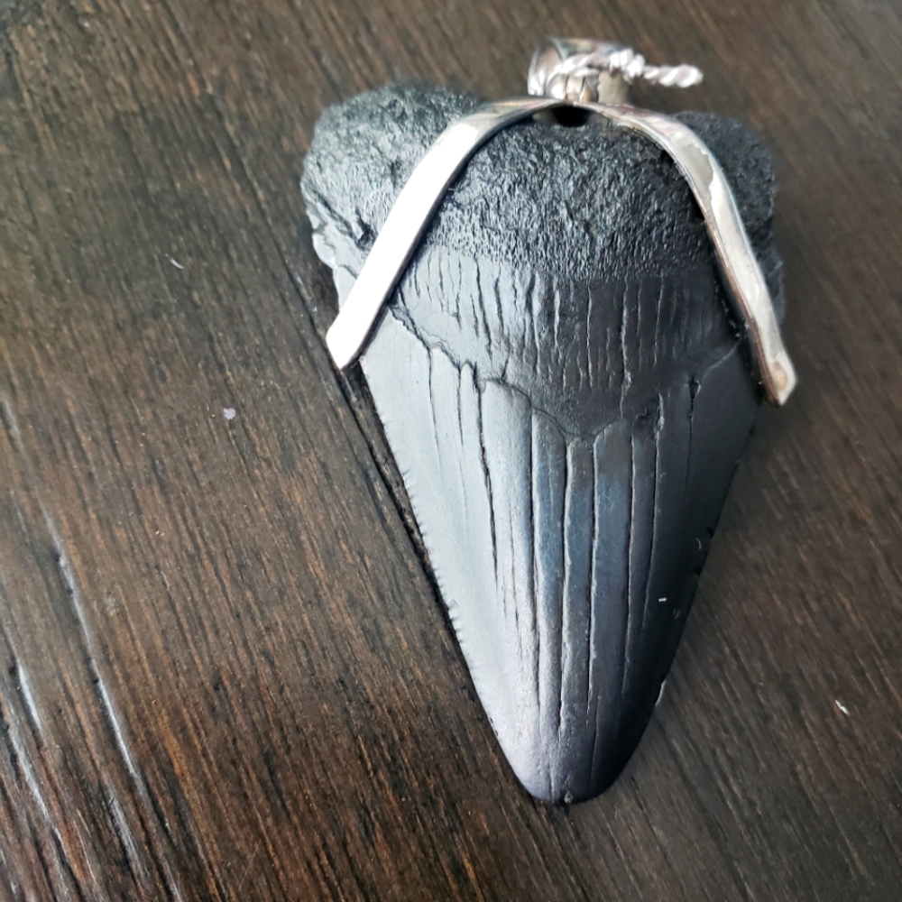 Megladon shark tooth pendant